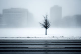 Potworna śnieżyca w USA. Bilans ofiar śmiertelnych rośnie, a to nie koniec?