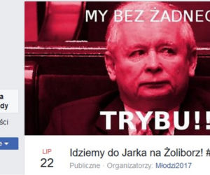 Kot Kaczynskiego