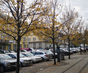 Złota polska jesień w Białymstoku 2019