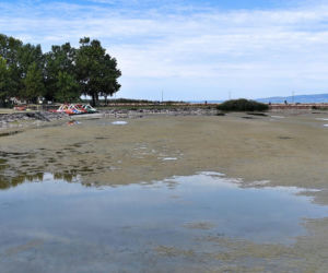 Balaton wysycha i zamienia się w kałużę. Potężne jezioro odsłoniło dno