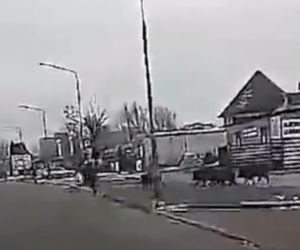 Dziki zaatakowały mężczyznę w centrum miasta. Musiał uciekać przed rozjuszonym stadem [ZDJĘCIA, WIDEO]