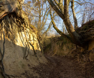 AI wybrała najpiękniejszą nazwę miasta w Polsce