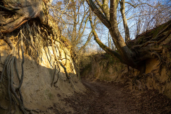 AI wybrała najpiękniejszą nazwę miasta w Polsce