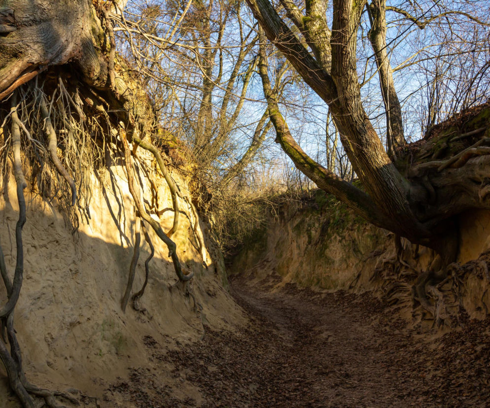 Najpiękniejsza nazwa miasta w Polsce. AI wybrała