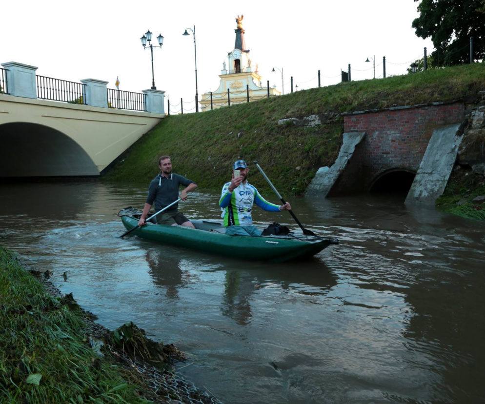 Zdjęcie dnia