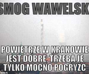 TOP 10 memów o Krakowie