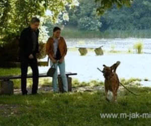 M jak miłość po wakacjach 2014. Magda (Anna Mucha), Wiktor Żak (Piotr Grabowski)