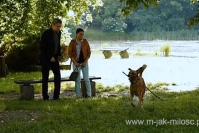 M jak miłość po wakacjach 2014. Magda (Anna Mucha), Wiktor Żak (Piotr Grabowski)