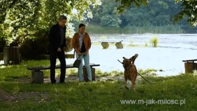 M jak miłość po wakacjach 2014. Magda (Anna Mucha), Wiktor Żak (Piotr Grabowski)