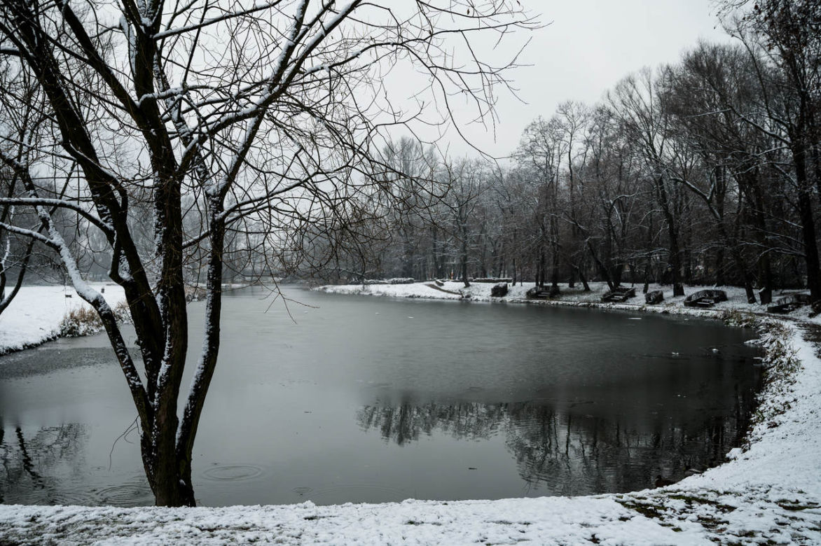 Skawiński park w zimowej otoczce