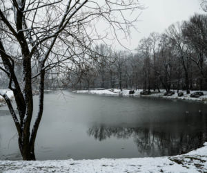 Skawiński park w zimowej otoczce