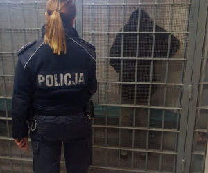 Ukradł złote łańcuszki z jubilera. 20-latek w rękach iławskiej policji