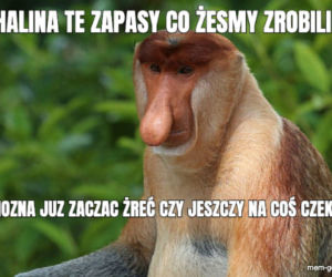 Memy o koronawirusie