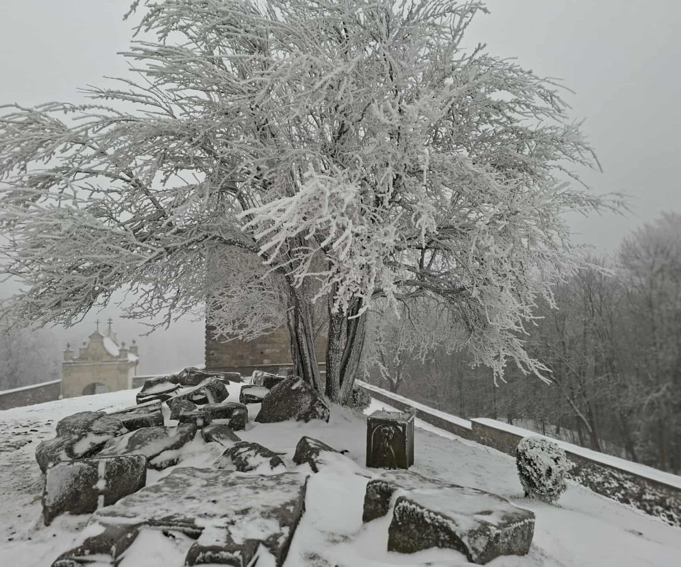 Majestatycznie, zimowo, jak w bajkowej Narnii. Tak Nowy Rok wita Święty Krzyż