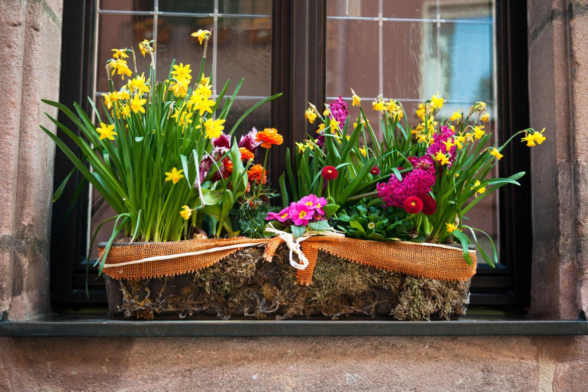 Kompozycje kwiatowe na wiosnę