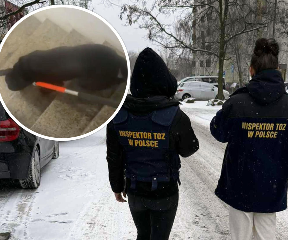 Przez 3 lata nie widział świata. To nie pies zawiódł. Zawiódł człowiek