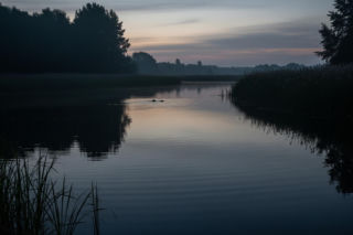 Samochód w stawie Foskowiec. Jak doszło do nocnego zdarzenia w Dankowicach?