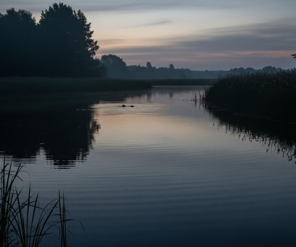W centrum obrazu znajduje się spokojna, ciemna rzeka lub jezioro o gładkiej powierzchni, odbijającej delikatne barwy nieba, przechodzące od jasnoszarego do różowo-pomarańczowego. Na wodzie, w środkowej części, widać dwa ciemne, owalne kształty, z których jeden pozostawia za sobą falujące kręgi na powierzchni. Po obu stronach akwenu rośnie gęsta roślinność, składająca się z wysokich traw i trzcin, a za nią rozciąga się ciemny pas lasu, którego drzewa są niemal czarnymi sylwetkami na tle nieba, gdzieniegdzie z lekką mgłą u podstawy.