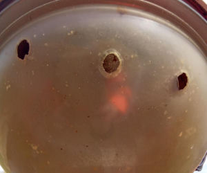 W gminie Bojanowo ktoś strzela do lamp ulicznych. Władze gminy wydały komunikat