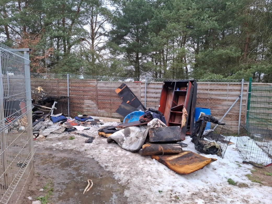 Pożar w schronisku "Dąbrówka" pod Wejherowem. Blisko trzydzieści zwierząt nie żyje. "Wszyscy tu ryczą"