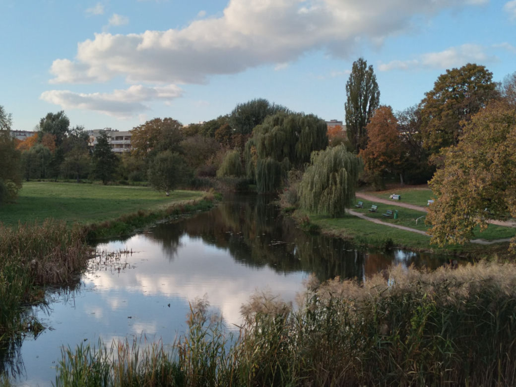 Park Skaryszewski