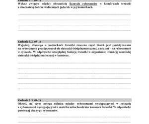 Matura 2019 z biologii [ARKUSZE CKE, ODPOWIEDZI]