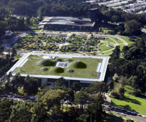 Budynek California Academy of Science: połączenie przyrody z architekturą