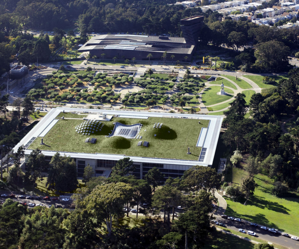 Budynek California Academy of Science: połączenie przyrody z architekturą
