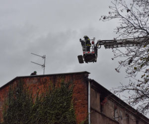 Przytulałam dzieci Moniki. 5 minut później ginęły w płomieniach