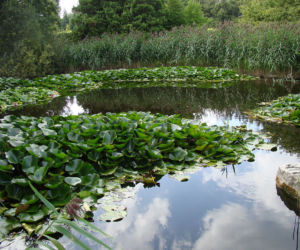 Ogród Botaniczny w Łodzi