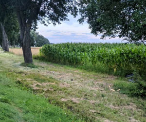 Wypadek seata na DK 65 pomiędzy Mońkami a Knyszynem