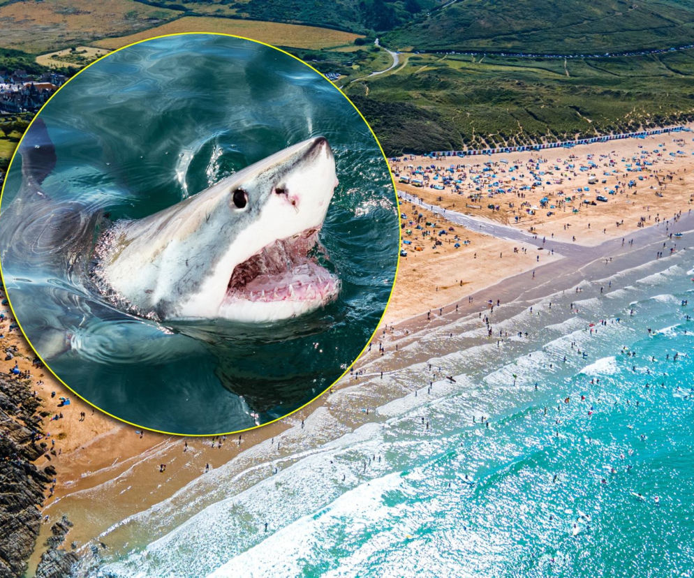 Nie żyje kobieta, a mężczyzna jest w stanie krytycznym po tym, jak zaatakował ich rekin u wybrzeży popularnej wśród turystów plaży w zatoce Crowdy Bay, położonej ponad 300 km na północ od Sydney 