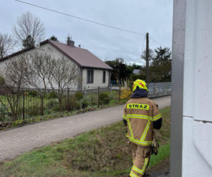 Powiat siedlecki: liczne interwencje strażaków w związku z wichurą
