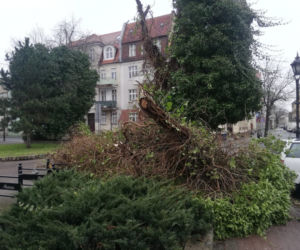 Trwa szacowanie szkód po wichurze nad Lesznem