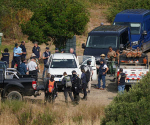 Zaginięcie Madeleine McCann ma związek z Epsteinem?! Spekulacje narastają