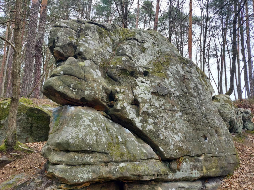 Rezerwat Przyrody "Skały pod Adamowem"