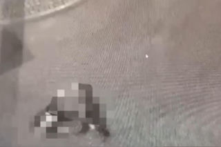 Brutalne pobicie w Nysie. Sprawcy nagrywali telefonami przebieg zdarzenia