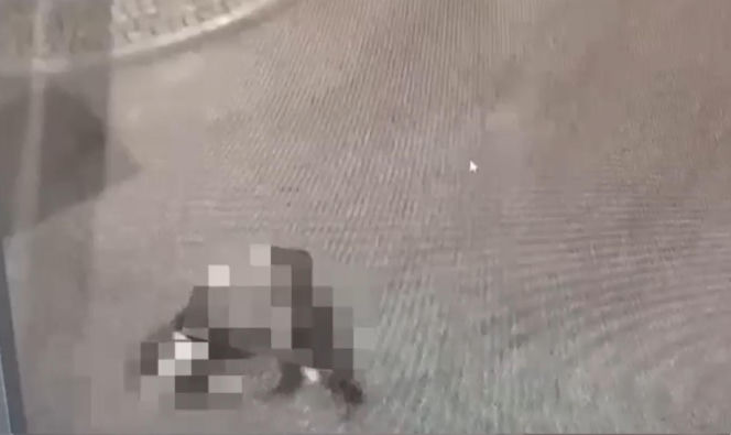 Brutalne pobicie w Nysie. Sprawcy nagrywali telefonami przebieg zdarzenia