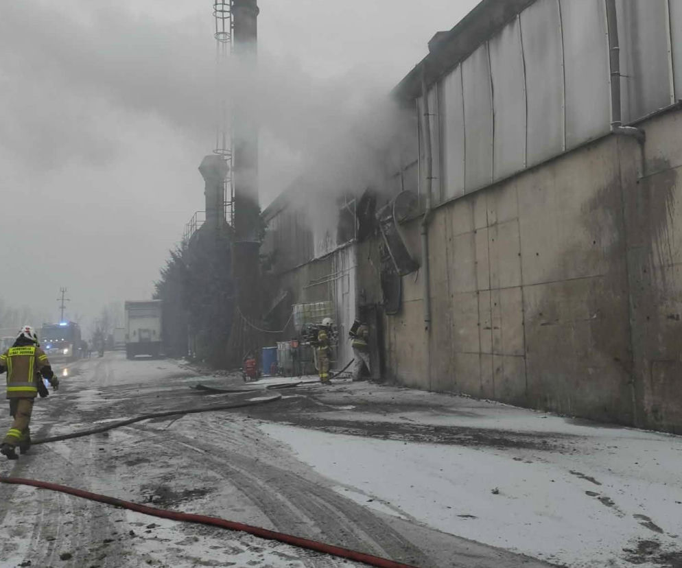 Kolejny pożar w zakładzie recyklingu w Przysiece Polskiej niedaleko Kościana