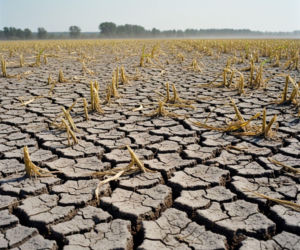 Nowe dotacje dla rolników na walkę z suszą