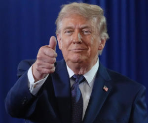 Bawół wygląda jak Donald Trump! To ocaliło mu życie