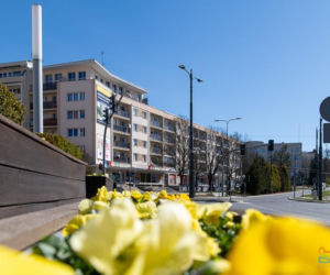 Olsztyn wraca do życia. Mimo epidemii centrum miasta rozkwita