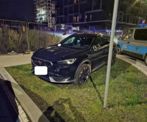 Miszczowie parkowania w Katowicach. Ich nikt tego nie nauczył