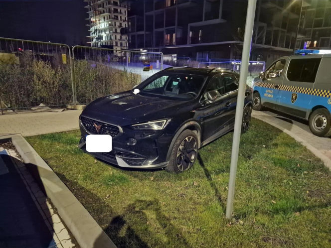 Miszczowie parkowania w Katowicach. Ich nikt tego nie nauczył