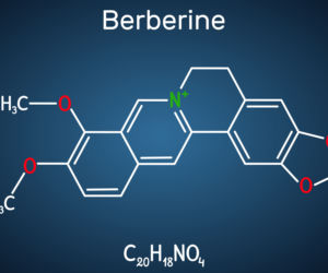 Berberyna 