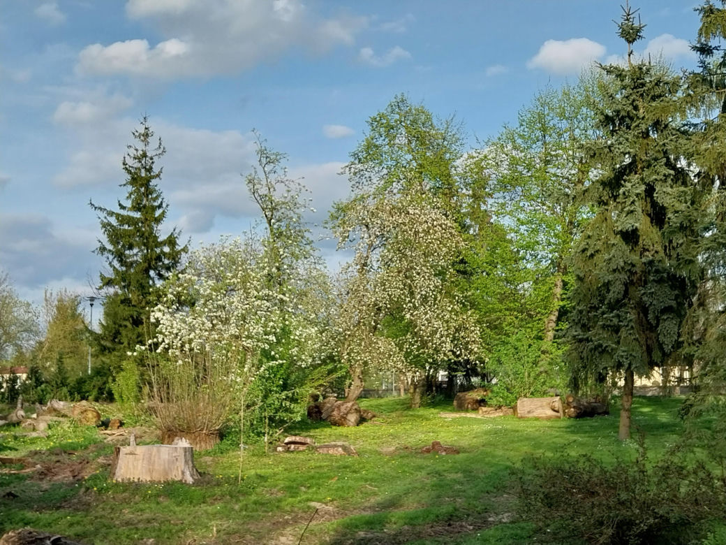 Wiosenny spacer w zamojskim zoo