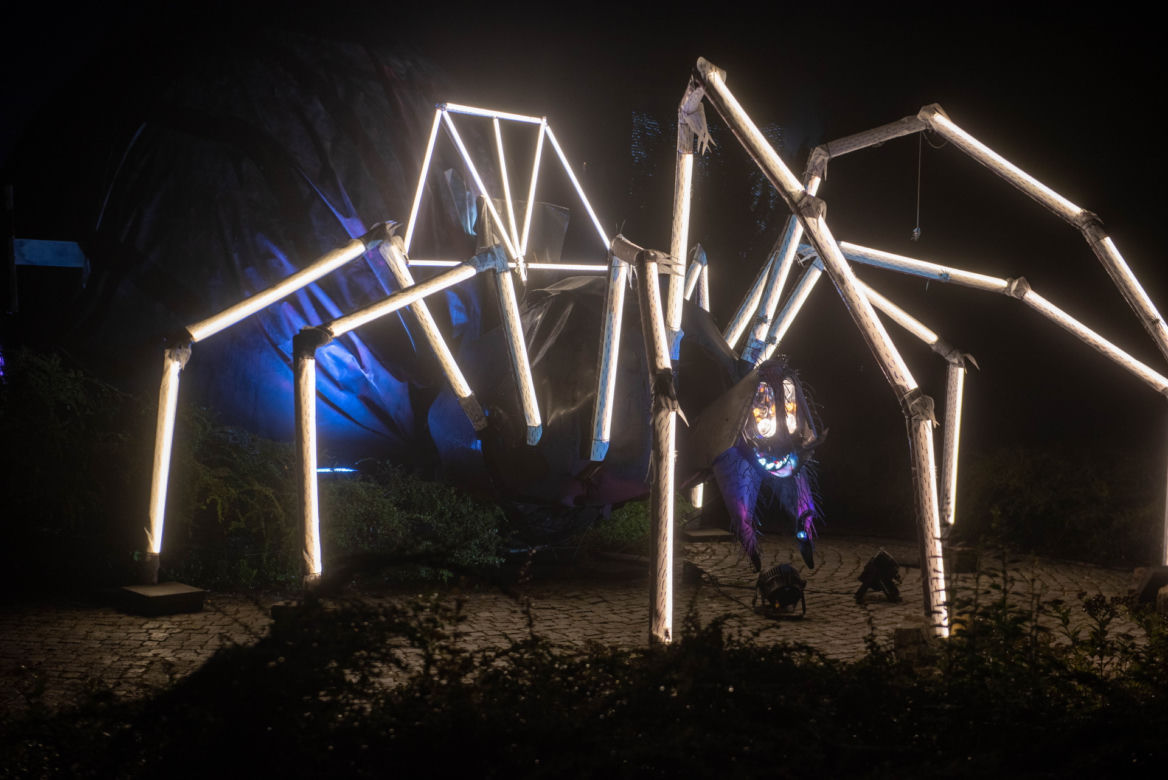 Kolejny Bella Skyway Festival czyli święto sztuki i światła. Jak na razie bez większych tłumów na Starówce