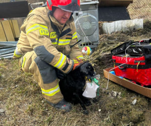 Do pożaru doszło we wtorek, 24 marca, na terenie ogródków działkowych ROD Odnowa przy ul. Cedrowej w Gdańsku
