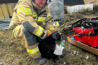 Do pożaru doszło we wtorek, 24 marca, na terenie ogródków działkowych ROD Odnowa przy ul. Cedrowej w Gdańsku