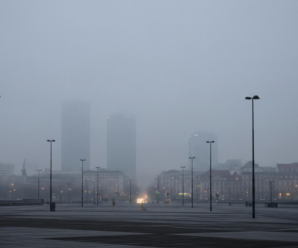 Miejski plac pokryty jest cienką warstwą śniegu, co widać po jaśniejszych, poziomych smugach na ciemniejszym podłożu. Wiele wysokich, czarnych latarni ulicznych z podwójnymi, poziomymi lampami rozstawionych jest regularnie na całym placu, oświetlając go żółtym światłem. W tle, spowite gęstą mgłą, widoczne są zarysy budynków, w tym kilka wysokich wieżowców pośrodku, a także niższych kamienic z licznymi oknami, niektóre z nich świecą żółto-pomarańczowym światłem. Na horyzoncie, przez mgłę, przebijają się światła samochodów i sygnalizacji świetlnej, tworząc świetliste punkty na szarym tle.